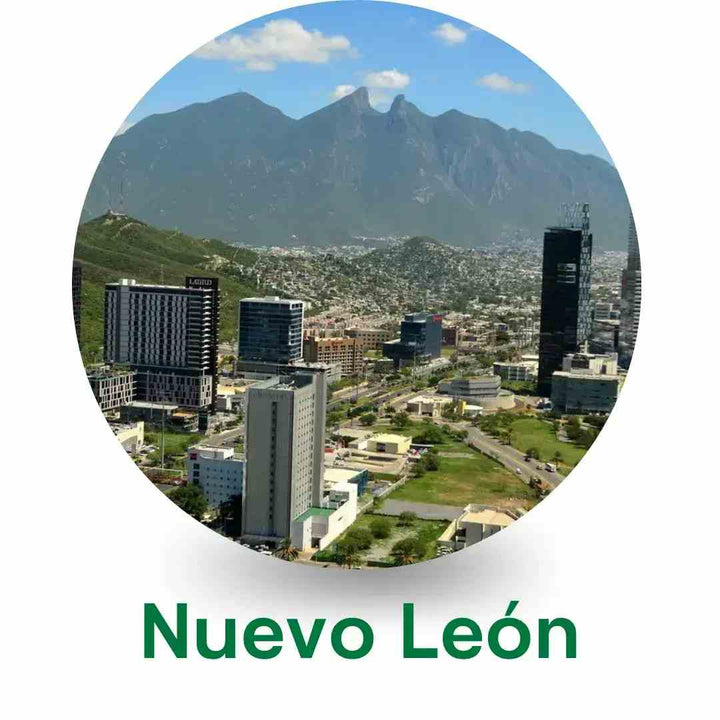 Nuevo León 